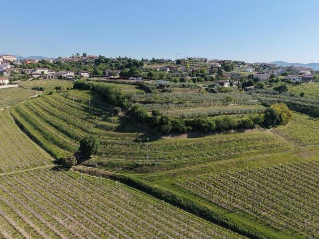 Terreno in vendita di 47790 m² in Via Cubetta