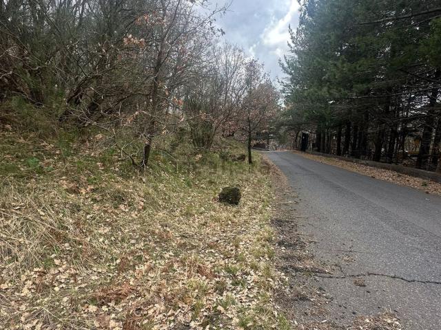 Terreno in vendita di 4780 m² in Contrada Milia