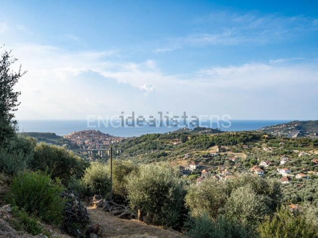 Terreno in vendita di 4700 m² in Frazione Artallo