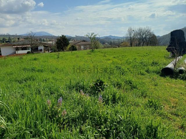Terreno in vendita di 4700 m² in Via Limiti Carnevale