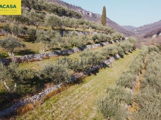 Terreno in vendita di 4850 m² in Strada del Borago