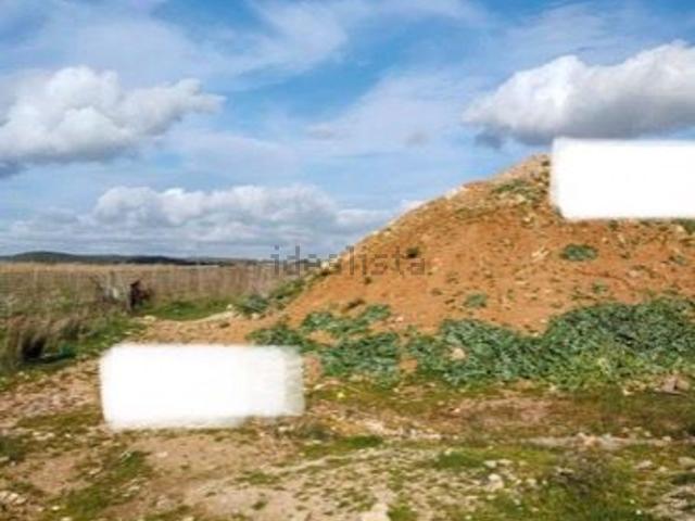 Terreno in vendita di 4890 m² in Strada Statale 131 Carlo Felice, 300