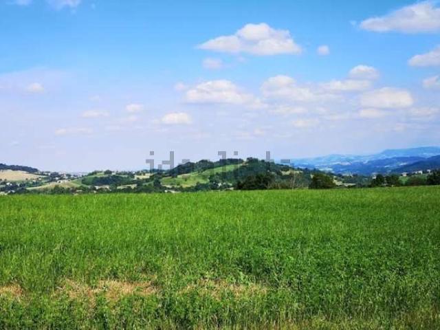 Terreno in vendita di 4800 m²