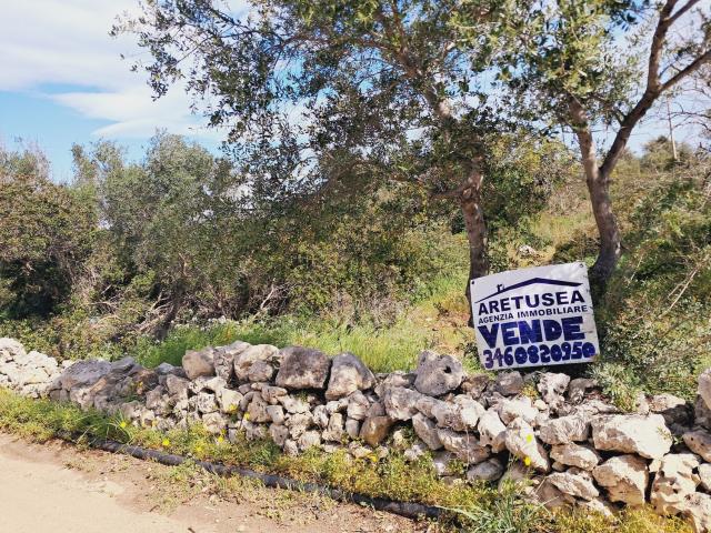 Terreno in vendita di 4813 m² in Traversa Case Messina