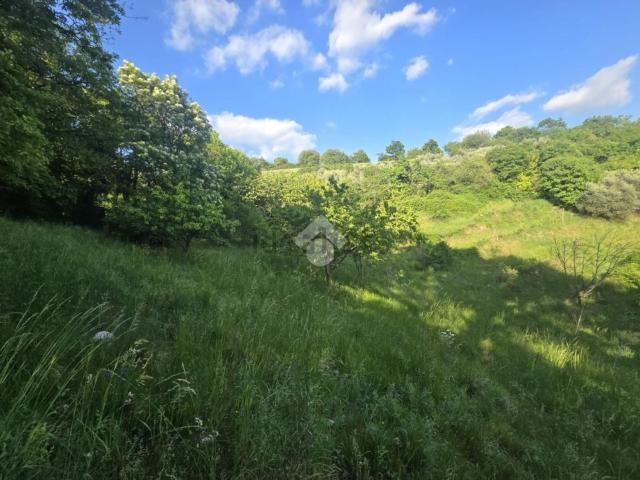 Terreno in vendita di 4815 m²