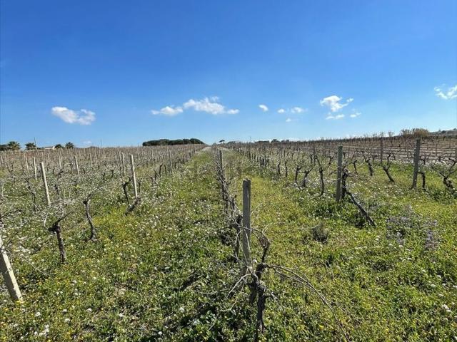Terreno in vendita di 4945 m²