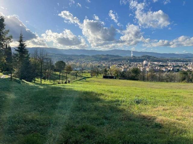 Terreno in vendita di 49509 m²