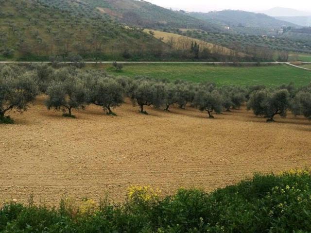 Terreno in vendita di 49680 m² in Via Santa Lucia