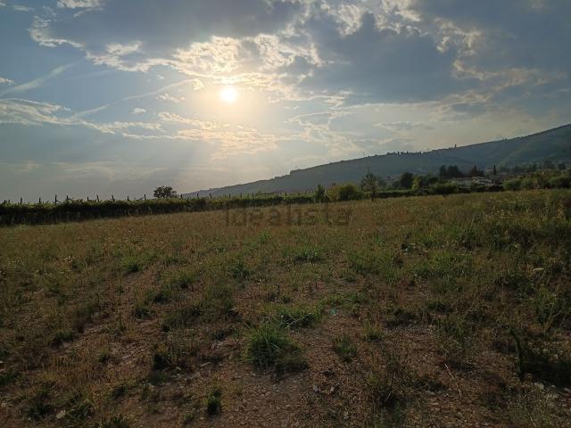 Terreno in vendita di 4900 m²