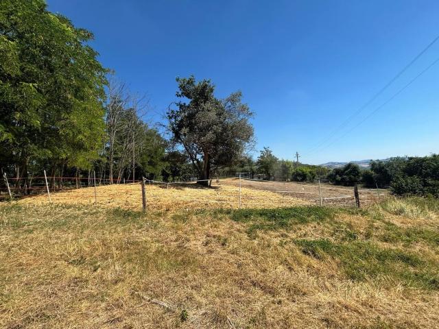 Terreno in vendita di 5050 m² in Località Collattuno, 2