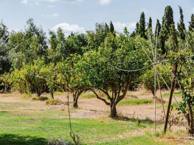 Terreno in vendita di 50639 m² in Strada Vicinale Bia Monti, 10