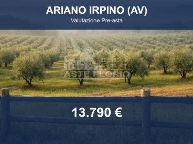 Terreno in vendita di 5070 m² in Contrada Vallone di Valle