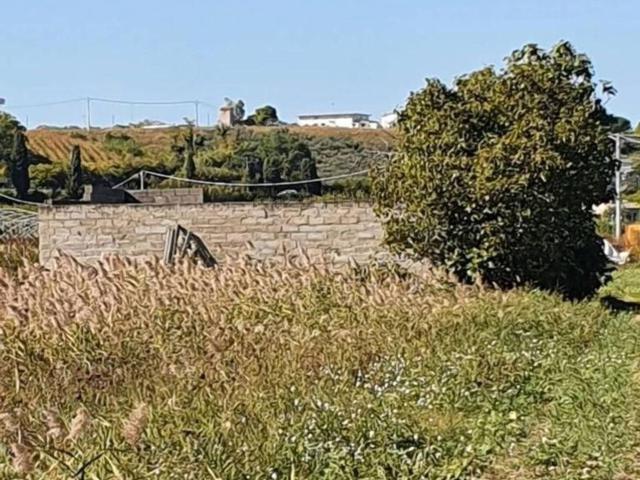 Terreno in vendita di 5080 m² in Contrada Termini