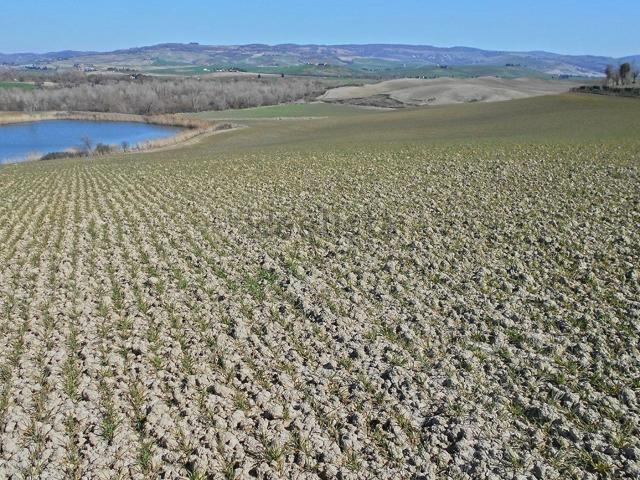 Terreno in vendita di 508625 m² in Località Fornello