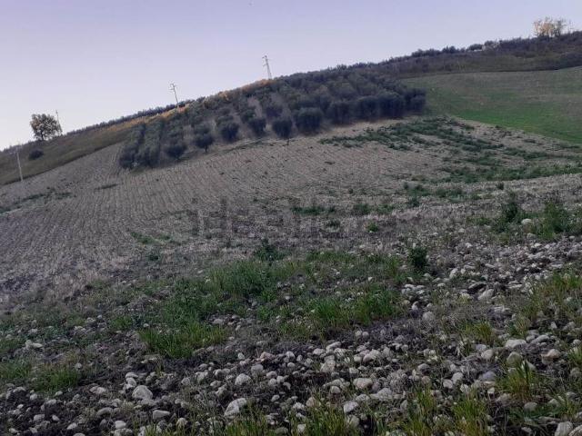 Terreno in vendita di 56000 m²