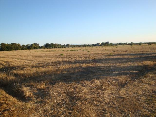 Terreno in vendita di 50000 m²