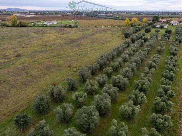 Terreno in vendita di 50000 m²