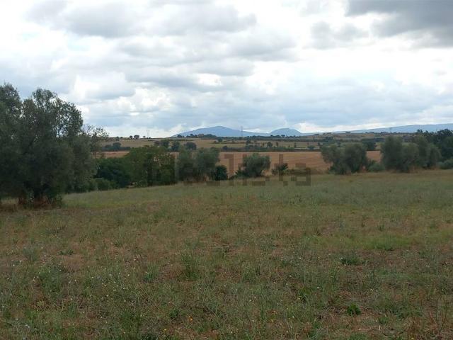 Terreno in vendita di 50000 m²
