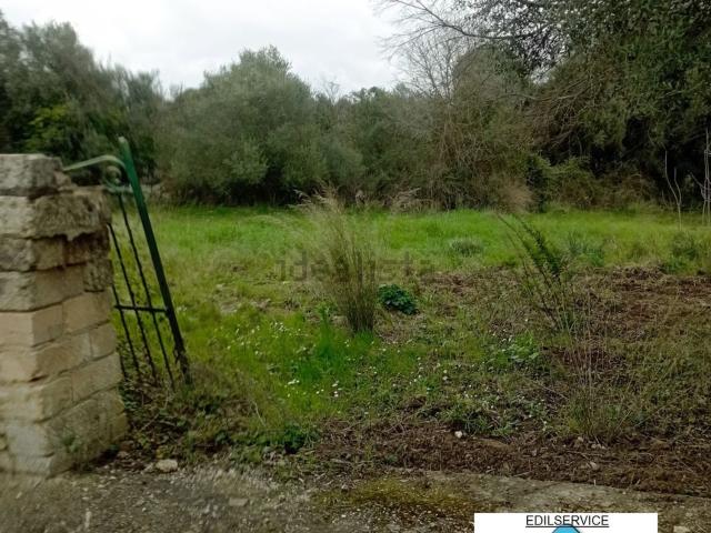 Terreno in vendita di 50000 m²