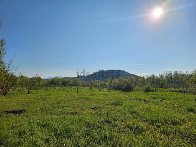 Terreno in vendita di 50000 m²