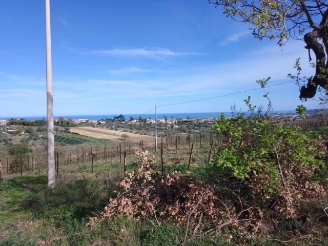 Terreno in vendita di 50000 m² in Via Colledoro