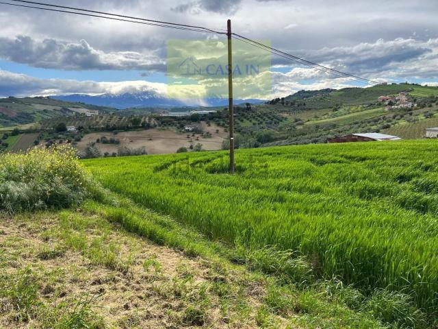 Terreno in vendita di 50000 m² in Via del Convento