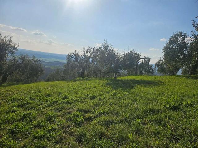 Terreno in vendita di 50000 m² in Via Madonna dei Pini