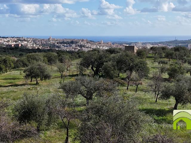 Terreno in vendita di 50000 m² in Via Salvo d&apos acquisto
