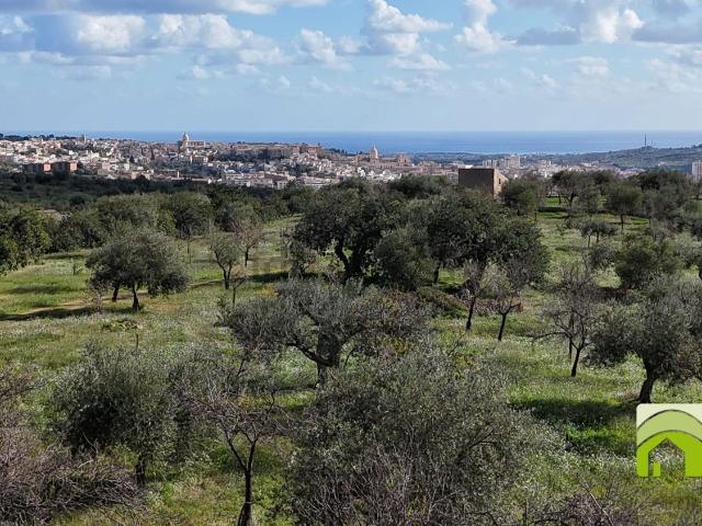 Terreno in vendita di 50000 m² in Contrada Romanello