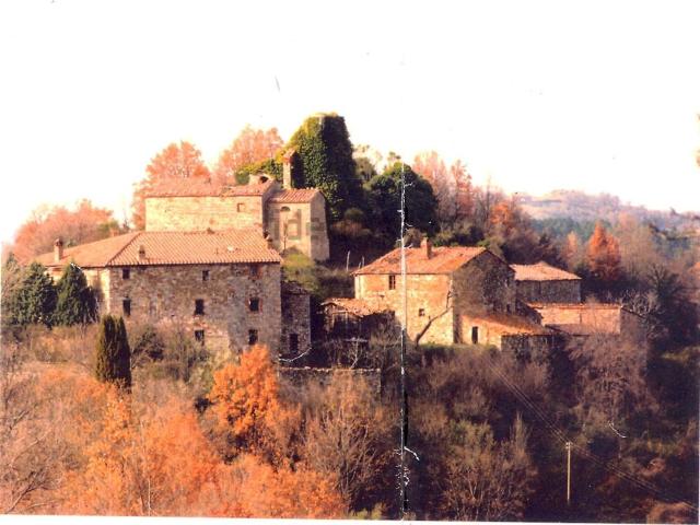 Terreno in vendita di 50000 m² in Frazione elci