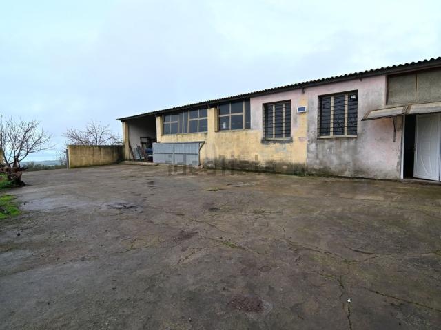 Terreno in vendita di 50000 m² in Località su erzu