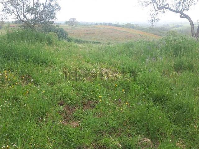 Terreno in vendita di 50000 m² in Strada Trinità