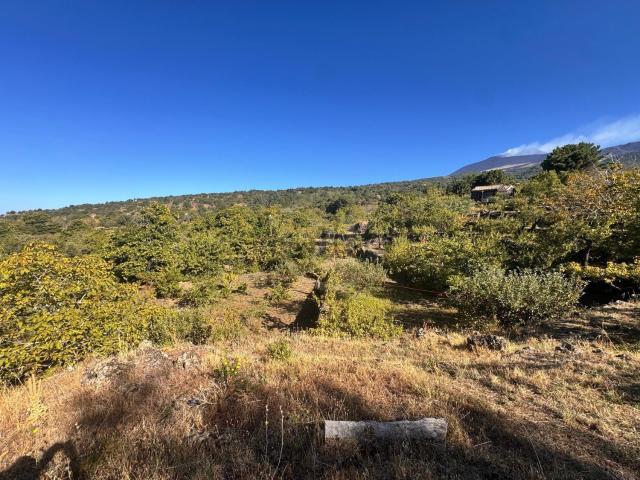 Terreno in vendita di 5000 m² in Contrada Monte Arso
