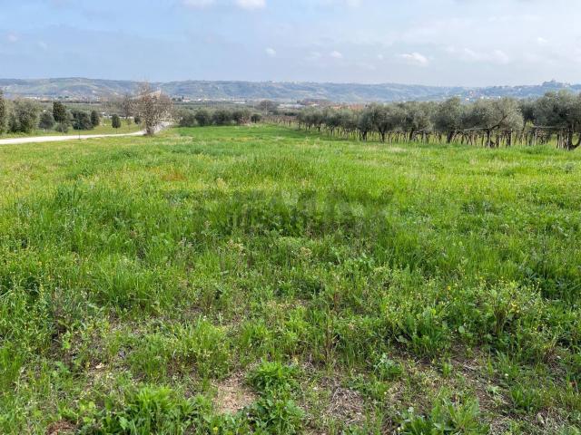 Terreno in vendita di 5000 m² in Contrada Cerreto