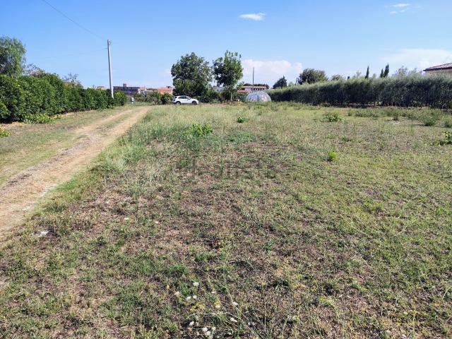 Terreno in vendita di 5000 m² in Contrada Felluca, 3