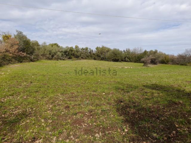 Terreno in vendita di 5000 m² in Contrada Fondi Nuovi