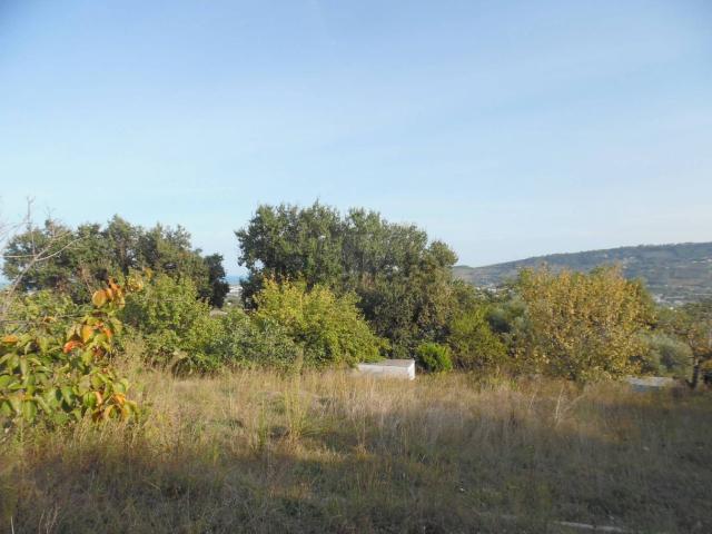 Terreno in vendita di 5000 m² in Contrada San Donato