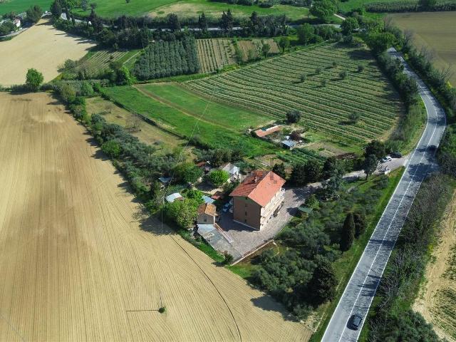 Terreno in vendita di 5000 m² in Contrada San Francesco, 6