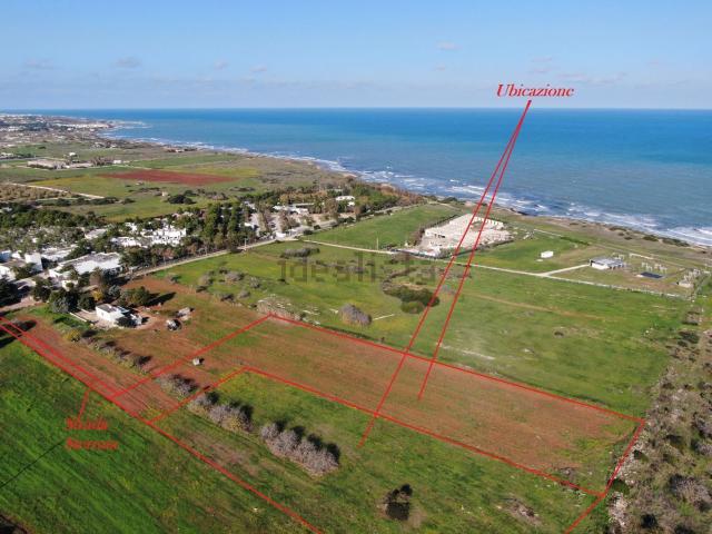 Terreno in vendita di 5000 m² in Contrada Scianolecchia