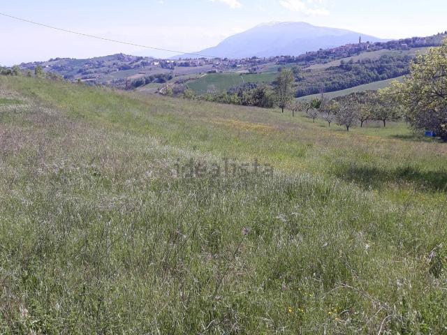 Terreno in vendita di 5000 m² in Strada Provinciale 17