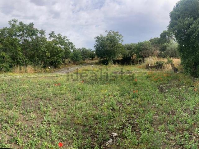 Terreno in vendita di 5000 m² in Via Alcaloro