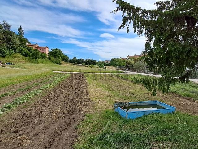 Terreno in vendita di 5000 m² in Via Bastiglia