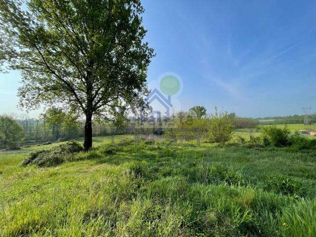 Terreno in vendita di 5000 m² in Via Bosco