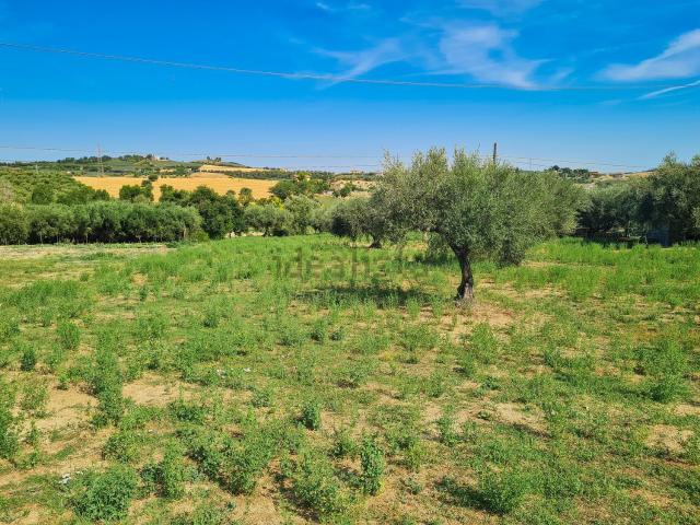 Terreno in vendita di 5000 m² in Via Cannuccia, 19