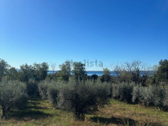 Terreno in vendita di 5000 m² in Via della Pace