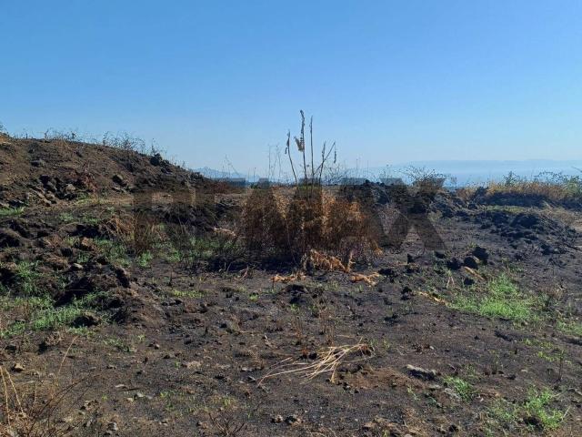 Terreno in vendita di 5000 m² in Via Pennisi Petrone