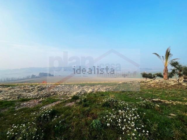 Terreno in vendita di 5000 m²