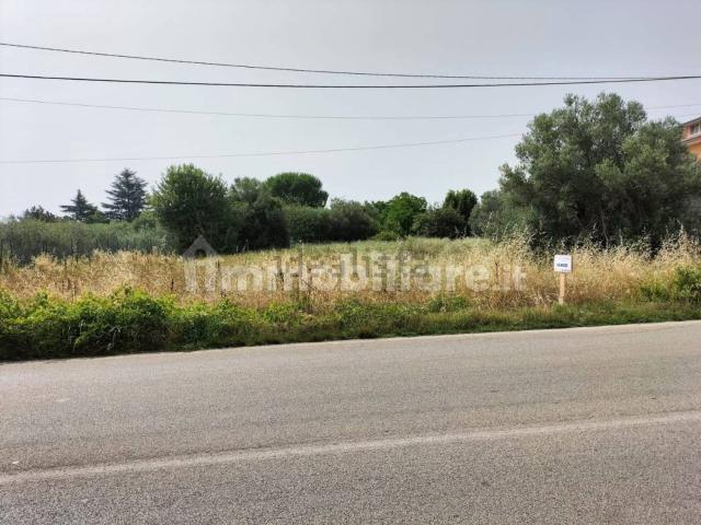 Terreno in vendita di 5000 m²