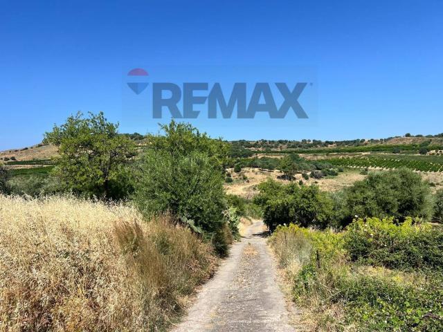 Terreno in vendita di 5000 m²