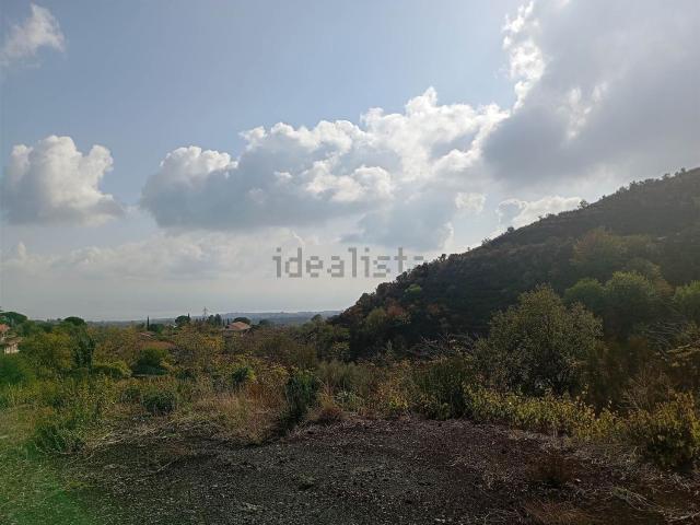 Terreno in vendita di 5000 m²